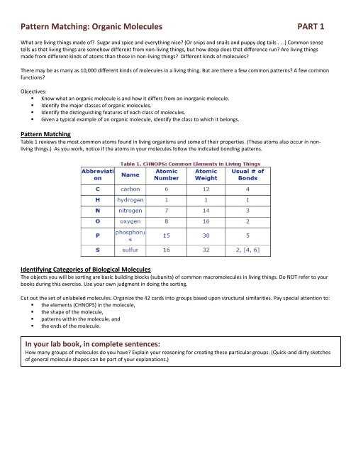 linear sorting and matching answer key