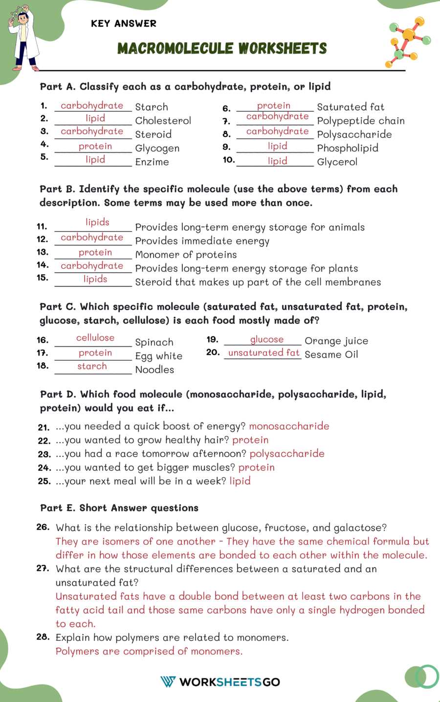 macromolecules word search answer key