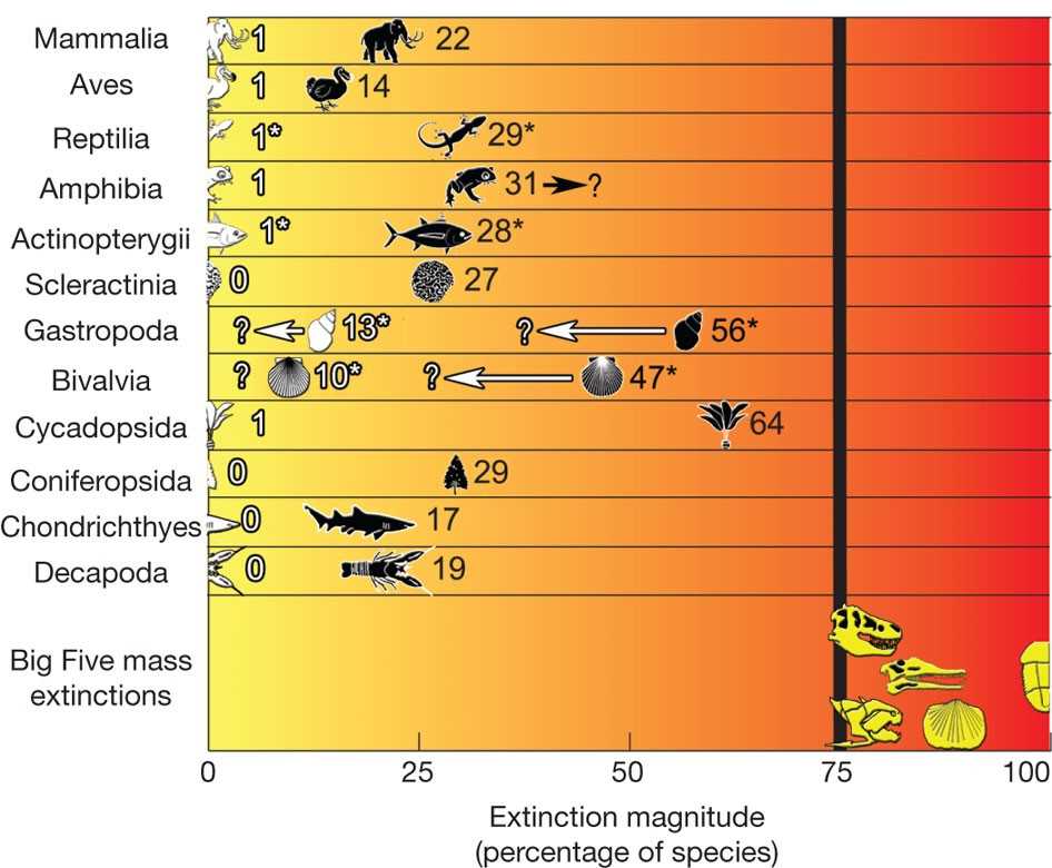mass extinctions in earth history hhmi answer key