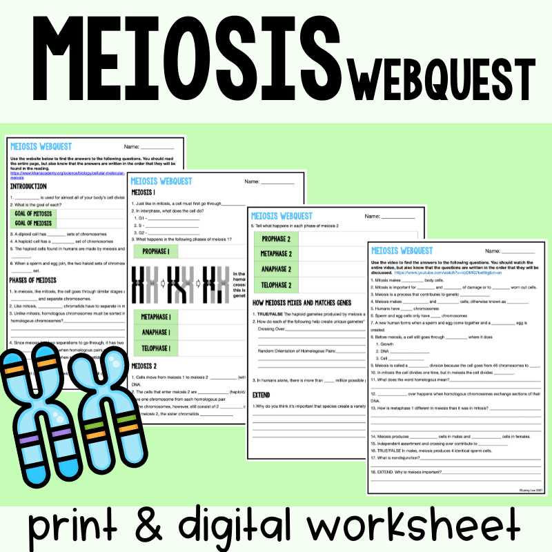 meiosis review answer key