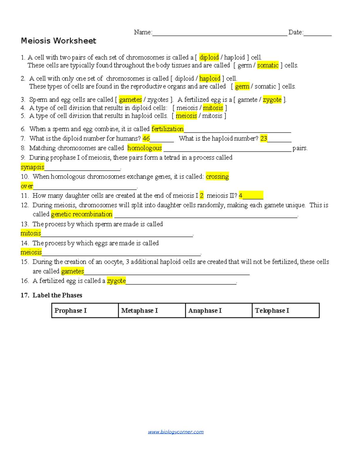 meiosis review worksheet answer key meiosis review worksheet answer key