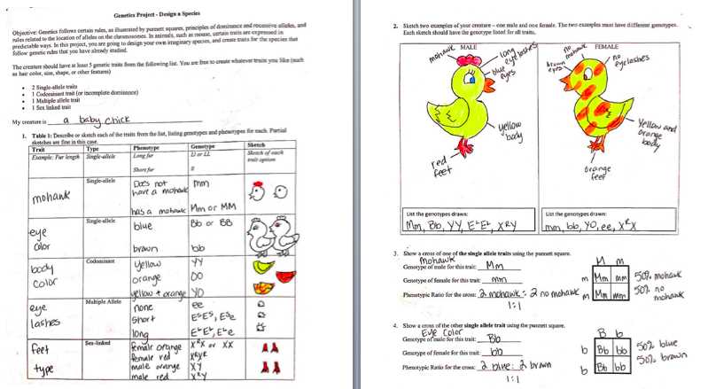 minion genetics project answer key