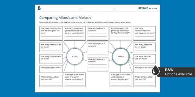 mitosis meiosis review worksheet matching answer key