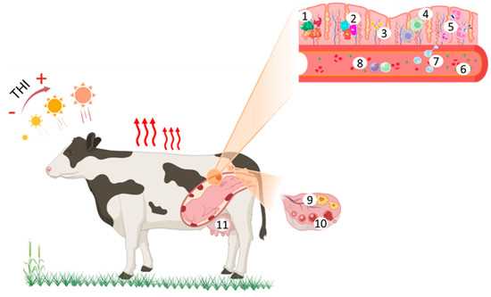 modern livestock and poultry production 9th edition answer key