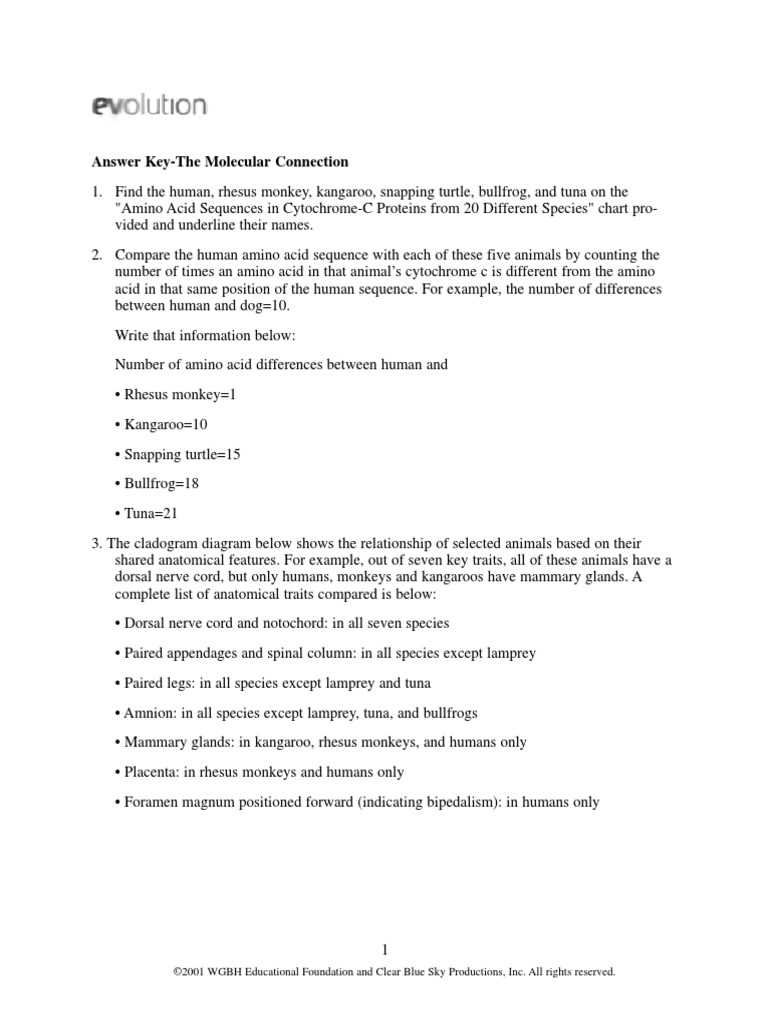 molecular biology and phylogeny answer key