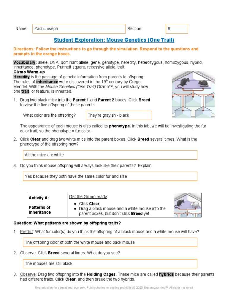 mouse genetics gizmos answer key mouse genetics gizmos answer key