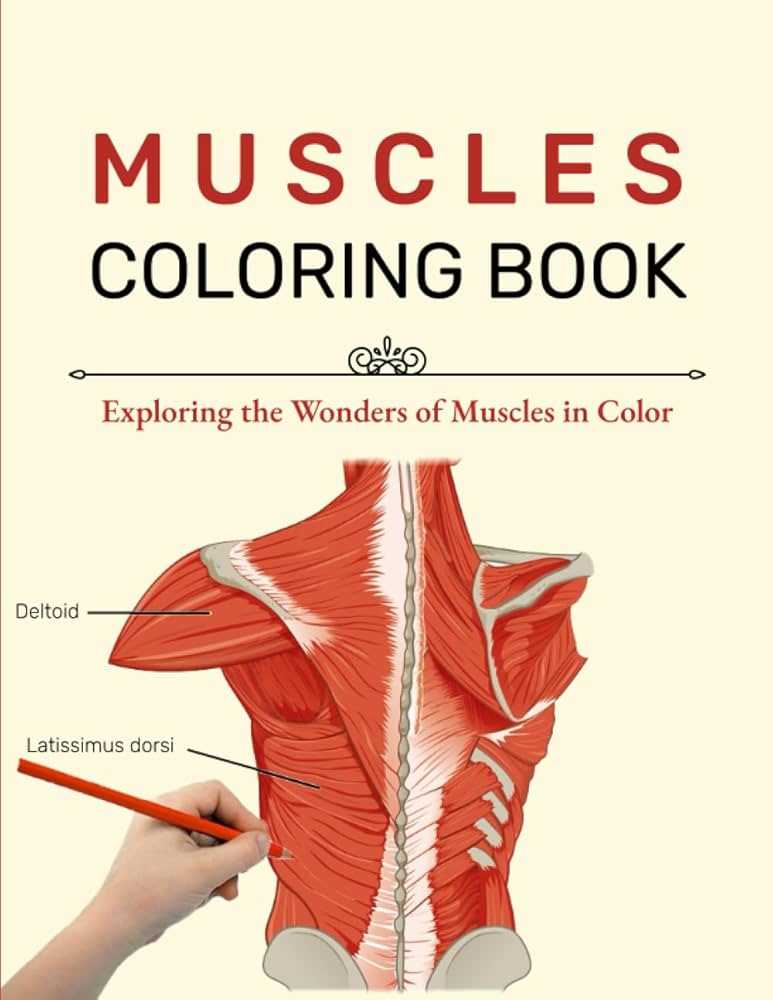 muscle coloring activity answer key