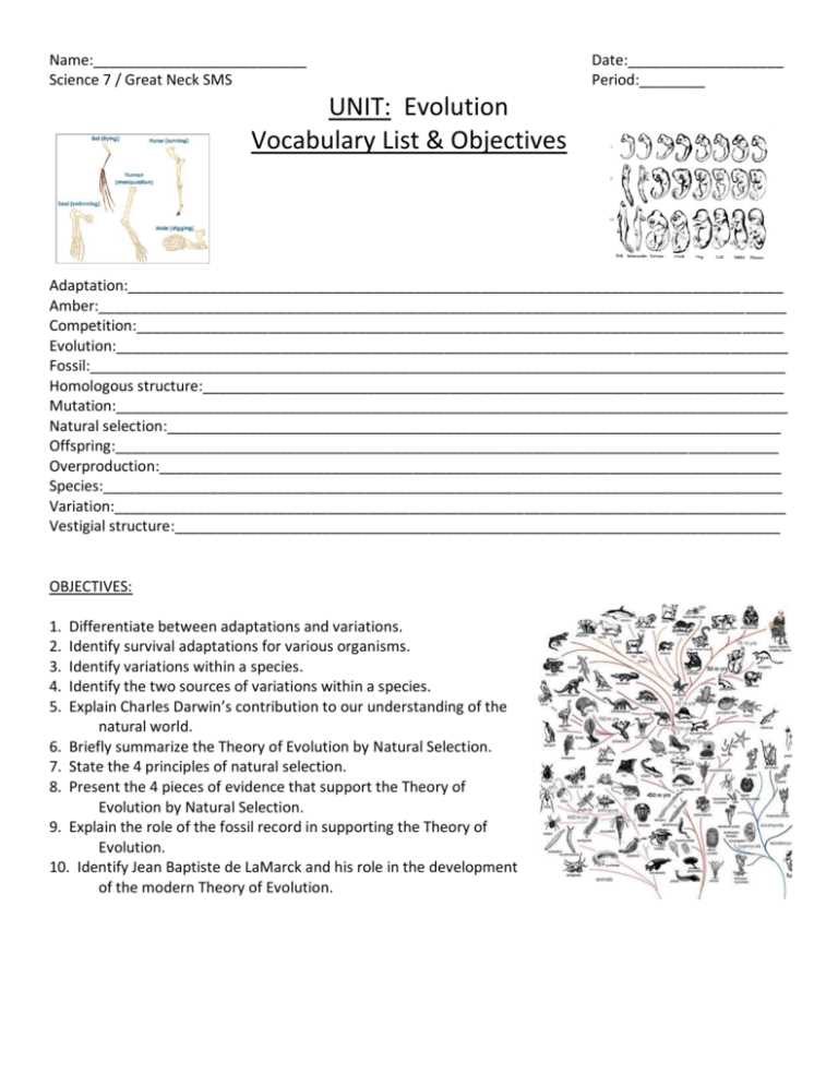 mutation worksheet 2 part 1 vocabulary answer key