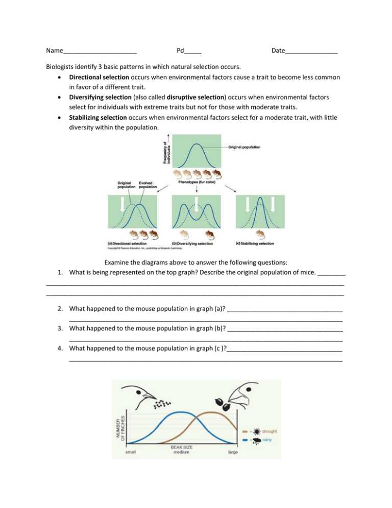natural selection worksheet answers key natural selection worksheet answers key
