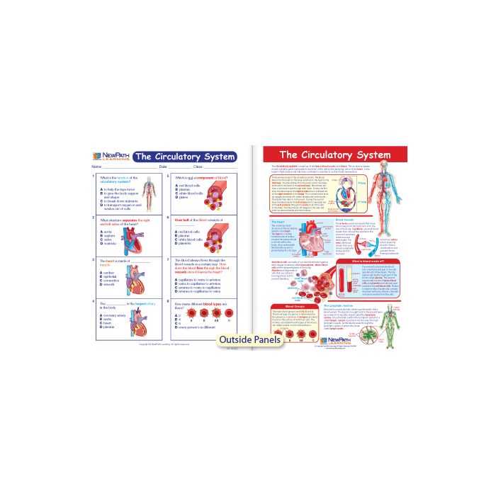 new path learning answer key