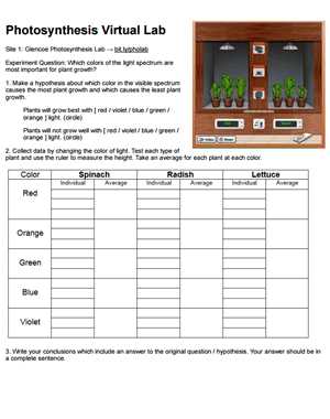 photosynthesis virtual lab answer key