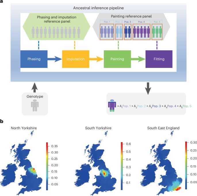 population genetics explorer answer key