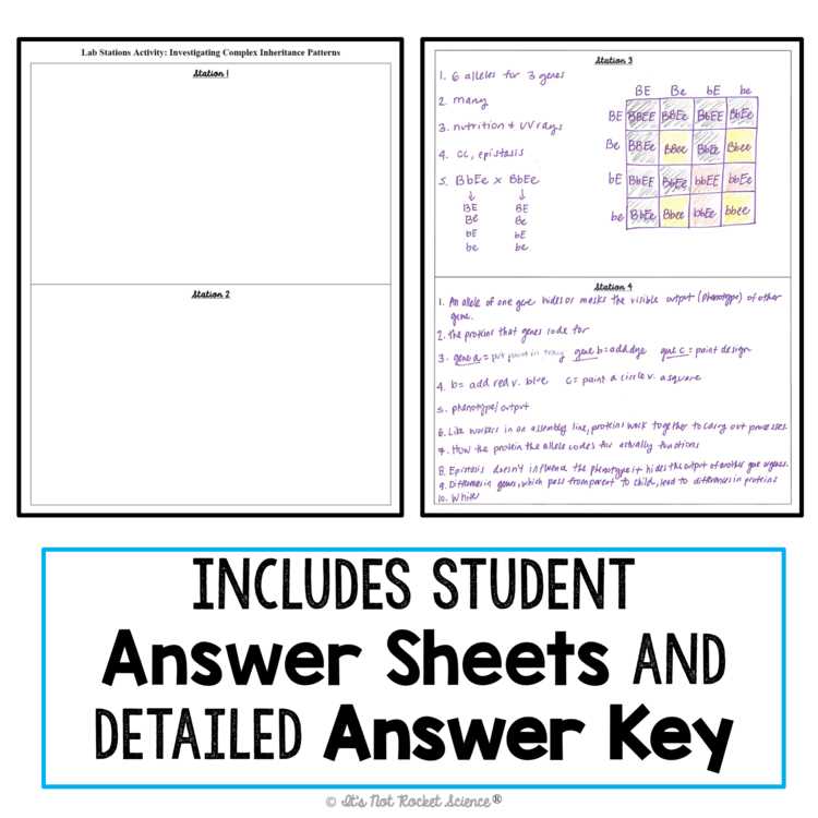 raven chapter 13 guided notes patterns of inheritance answer key raven chapter 13 guided notes patterns of inheritance answer key