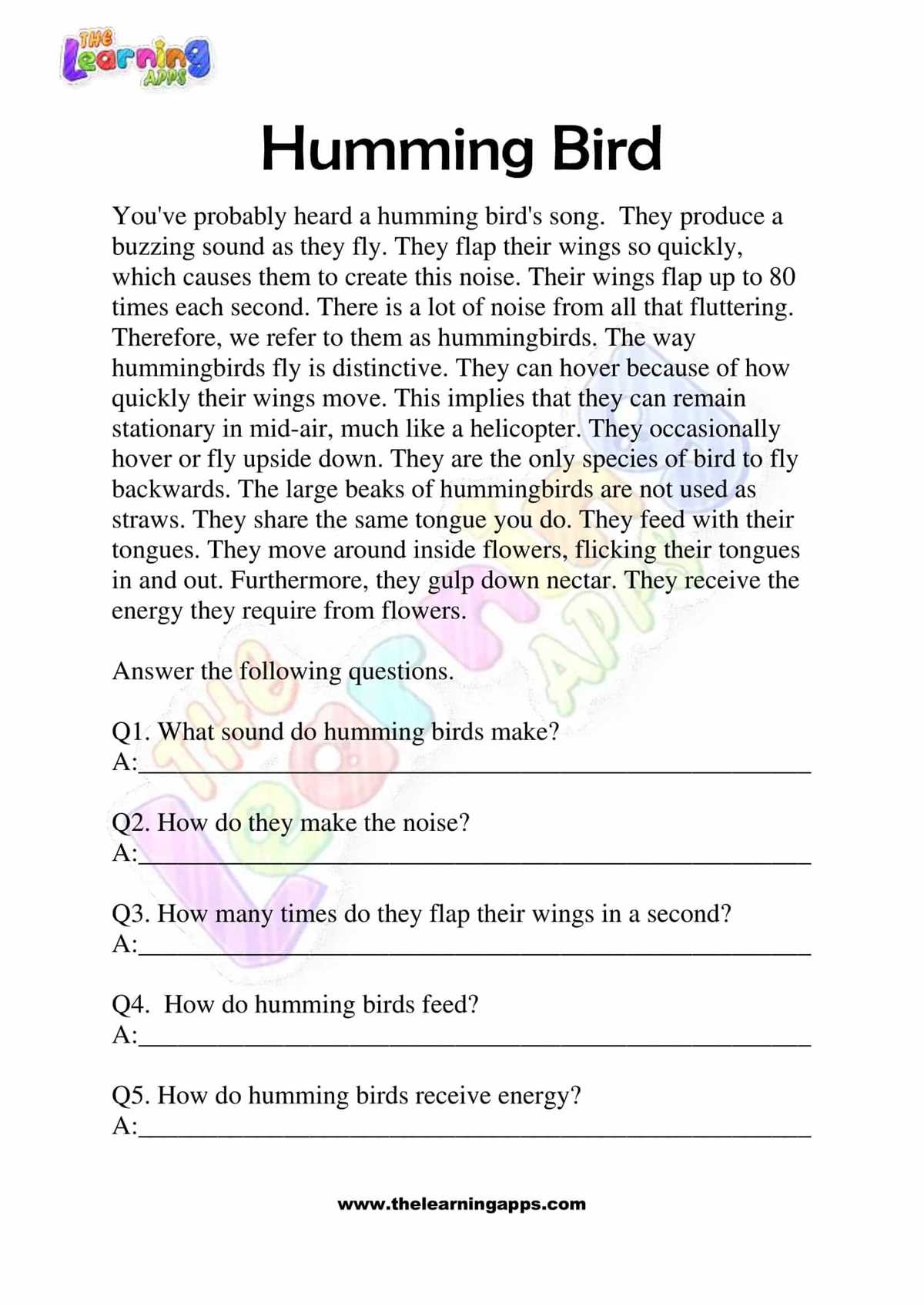 reading comprehension test for grade 2 with answer key