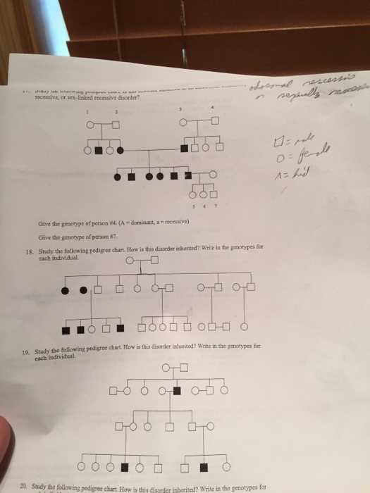 rudolphs red nose pedigree answer key