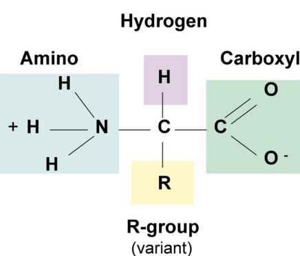 sc.912.l.18.1 biology answers key