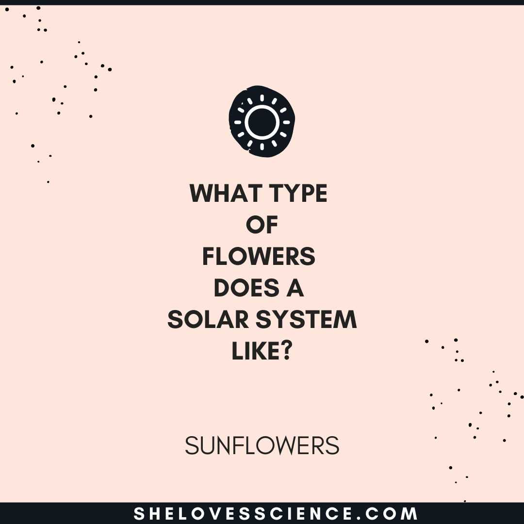 science riddles answer key