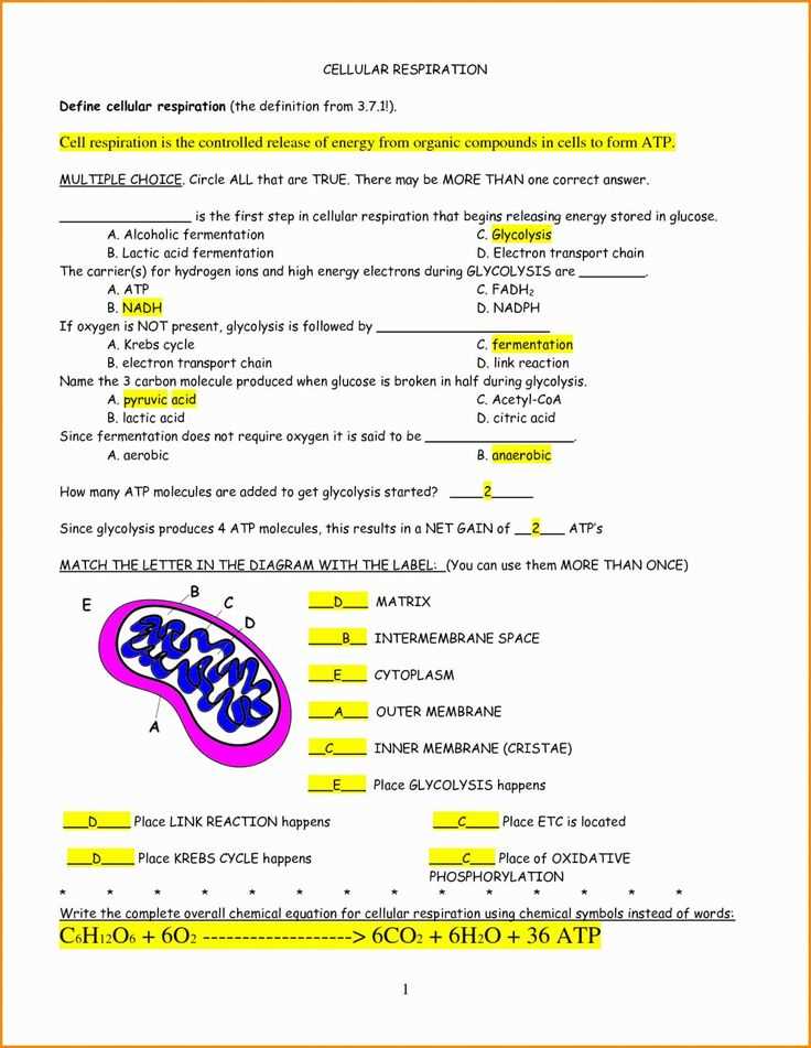 section 4.2 overview of photosynthesis study guide answer key