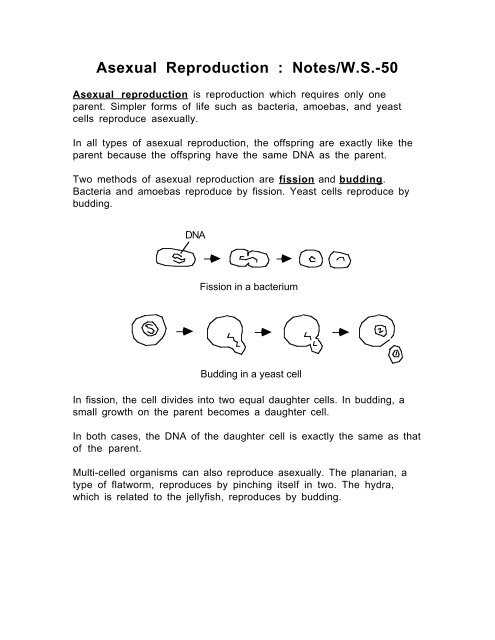 section 5.4 asexual reproduction study guide answer key