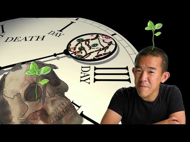 solving crimes with the necrobiome answer key