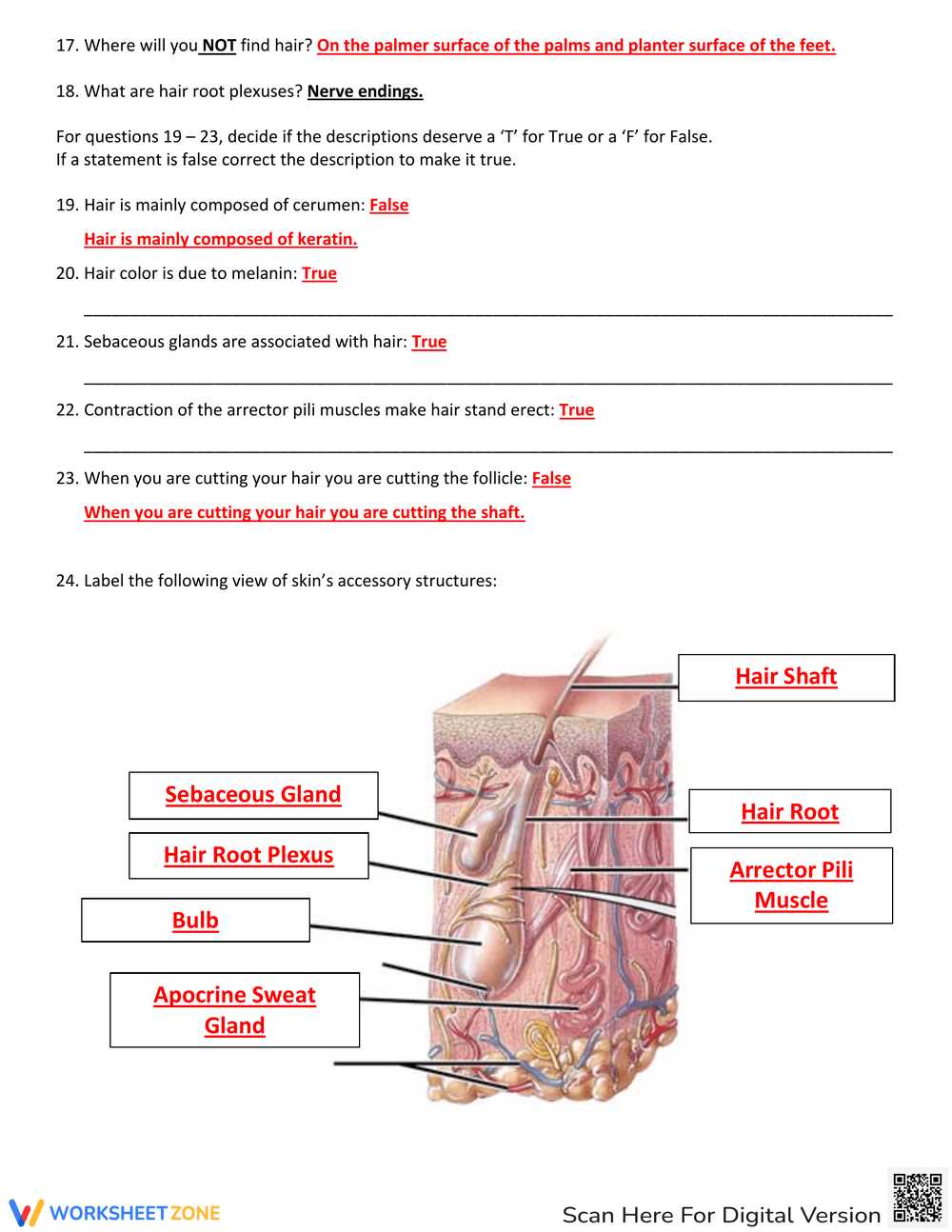 systems review answer key
