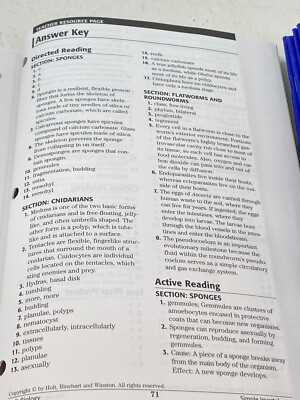 the book umbrella answer key the book umbrella answer key