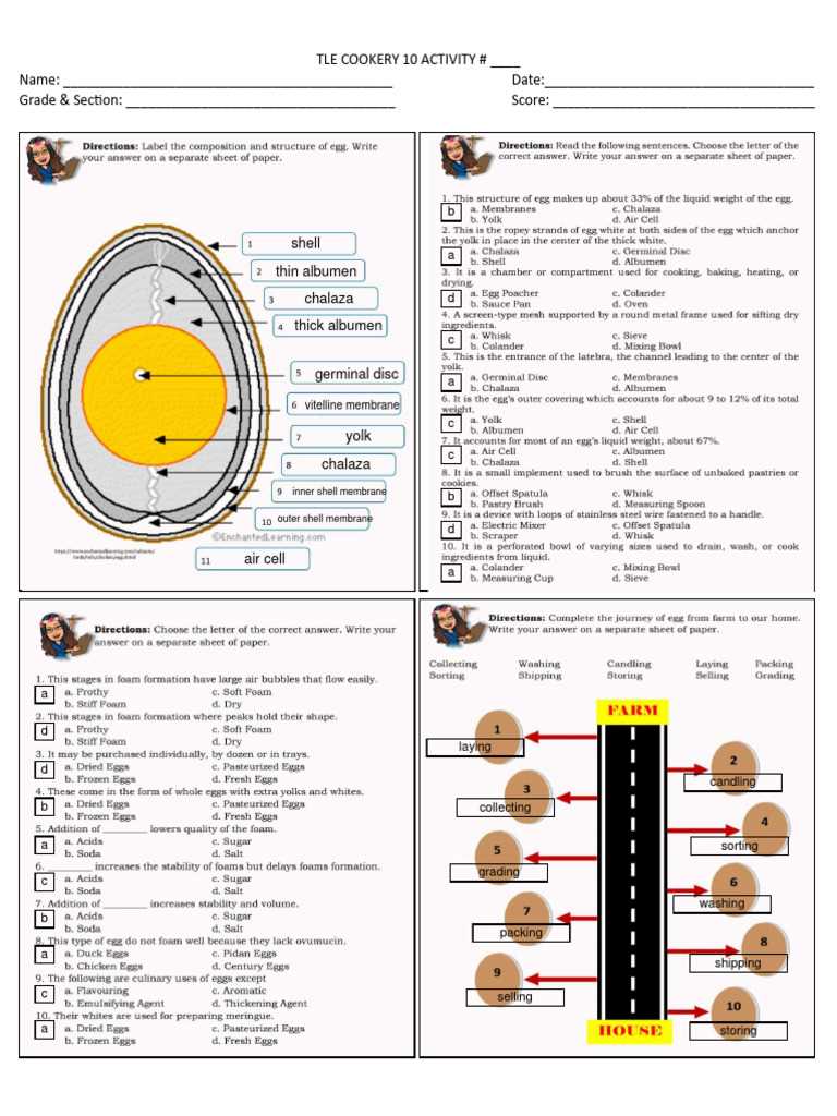 the key to egg cookery worksheet answers