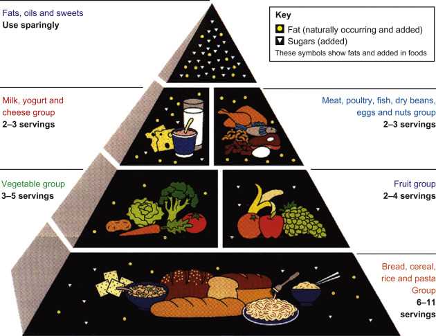 the science of appetite answer key
