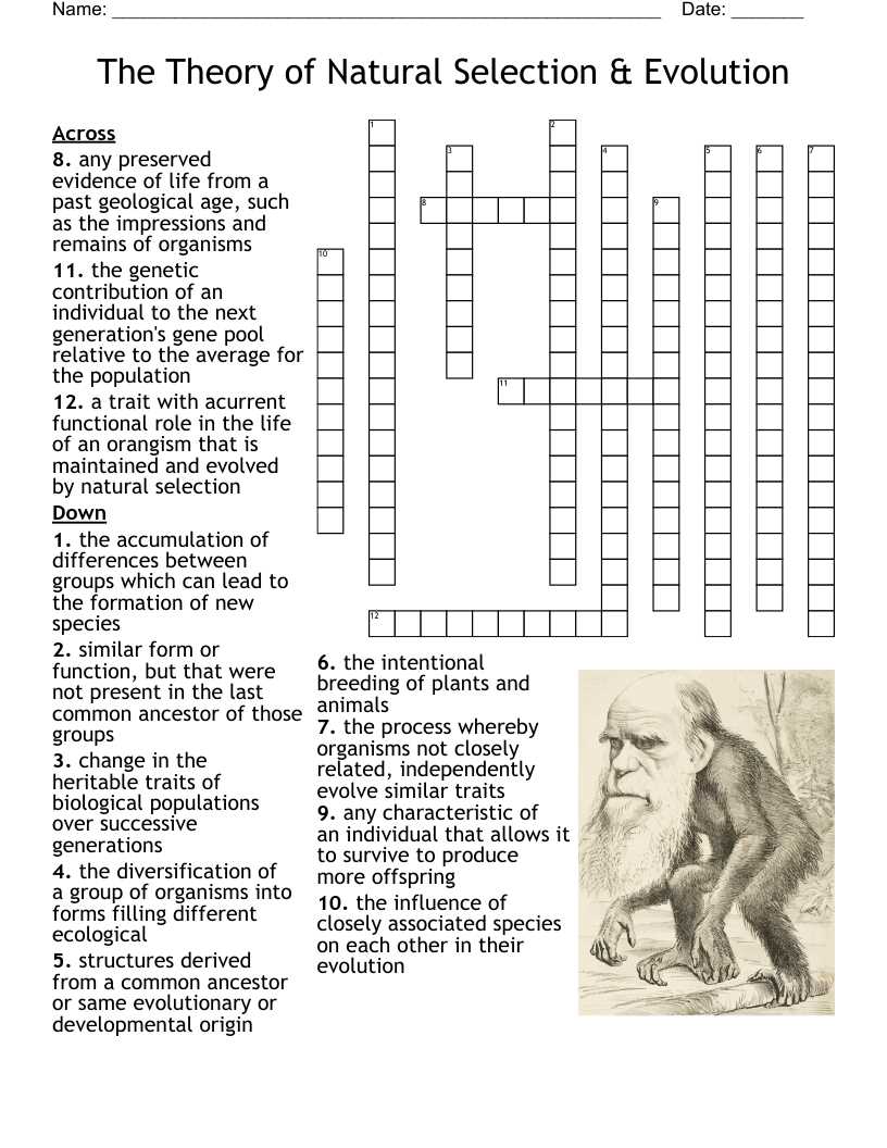 theory of natural selection study guide answer key