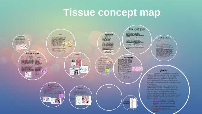 tissue concept map answer key