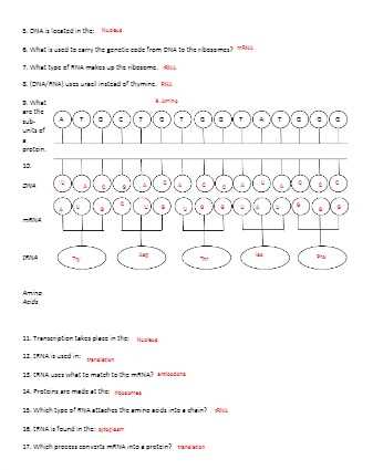 translation practice and transcription review answer key