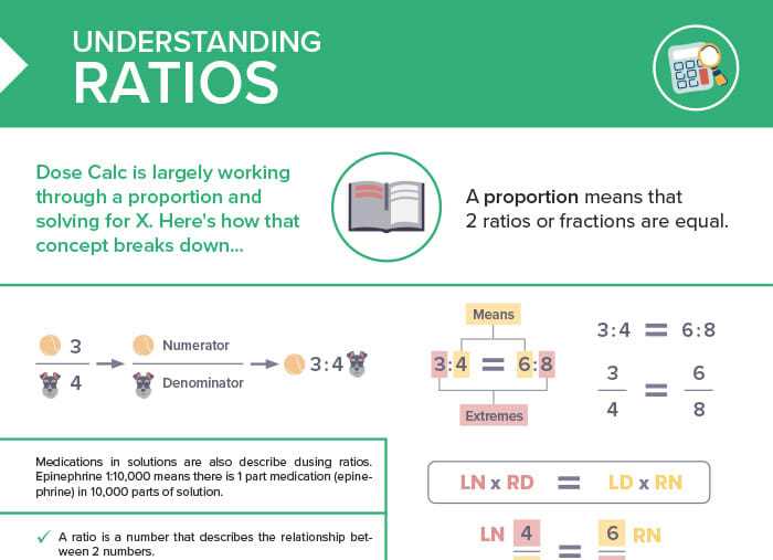 understanding ratios answer key