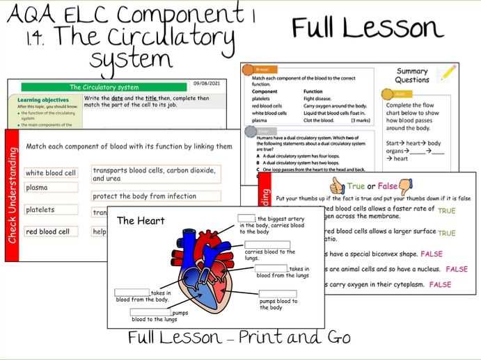 unit biology c circulation answer key unit biology c circulation answer key