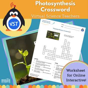 virtual science teachers photosynthesis interactive answer key