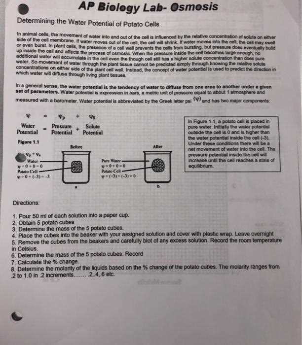 water potential problems with answer key ap biology