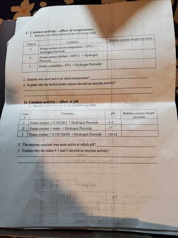 a case study catalase activity answer key