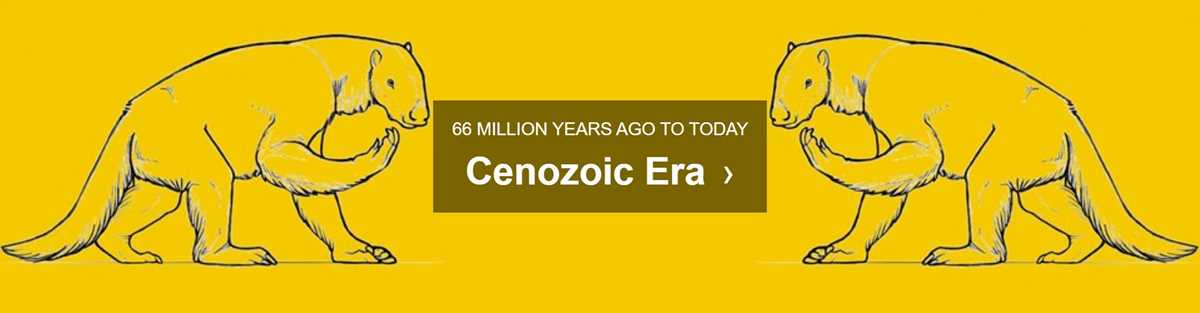 the cenozoic era lesson 4 answer key