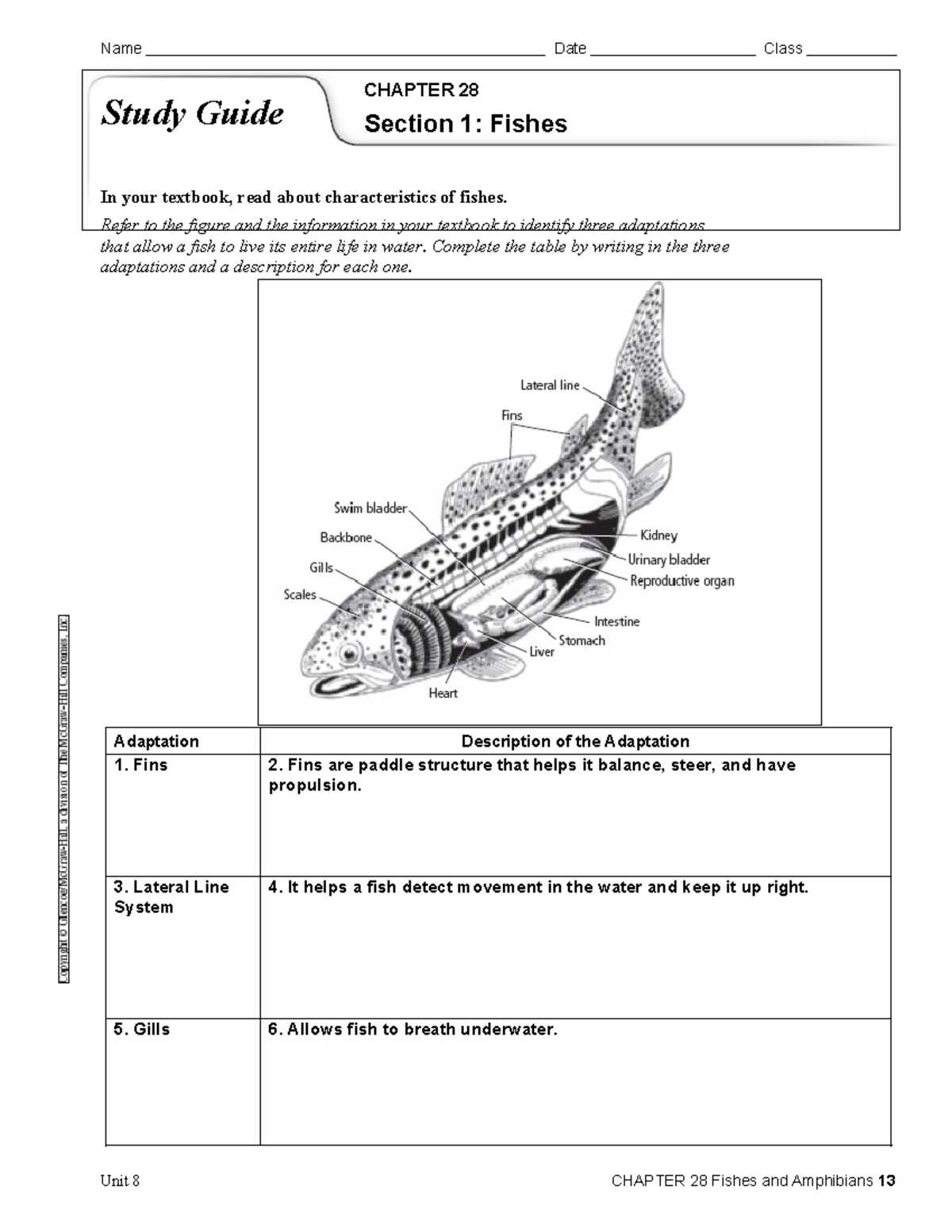 adaptation worksheet life as a fish answer key