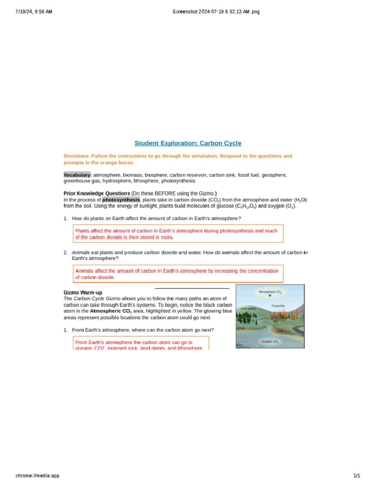 ecology interactions within the environment getting nerdy answer key ecology interactions within the environment getting nerdy answer key