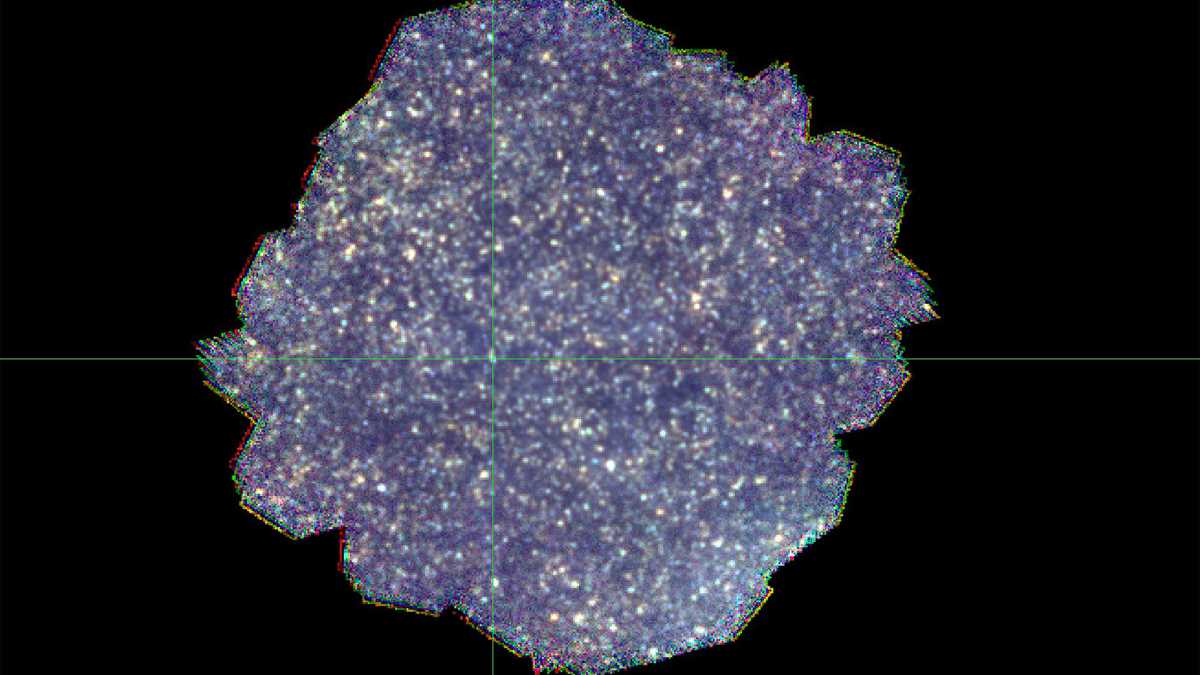 galaxies and the universe answer key