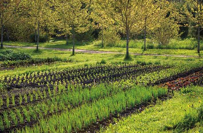 agriscience fundamentals and applications 2nd edition answer key agriscience fundamentals and applications 2nd edition answer key