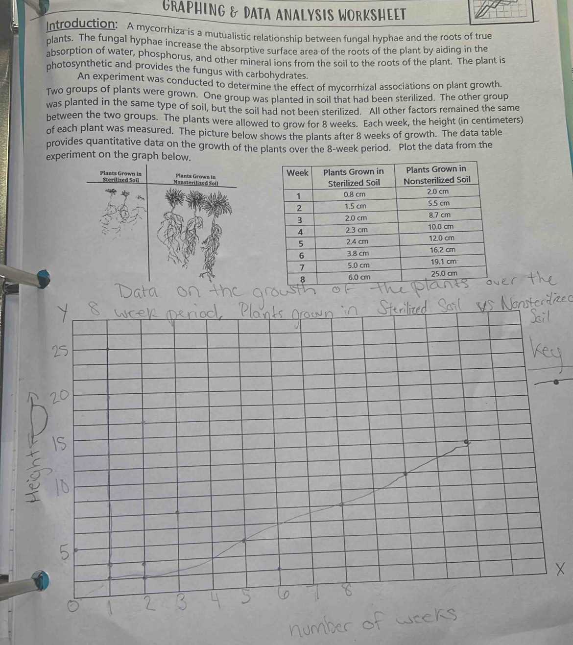 biology graphing practice answer key