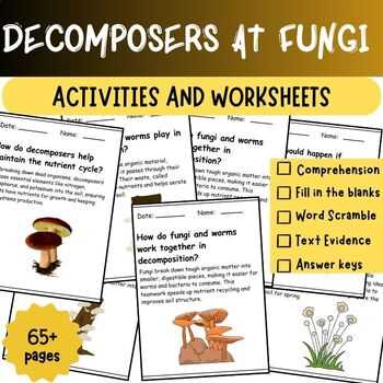 decomposers and composting reading guide answer key