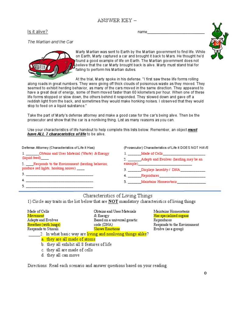 buy a car project answer key