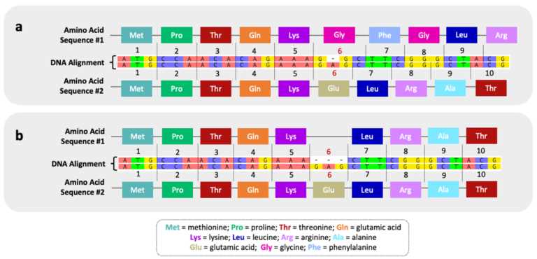 amino acids sequences and evolutionary relationships answer key amino acids sequences and evolutionary relationships answer key