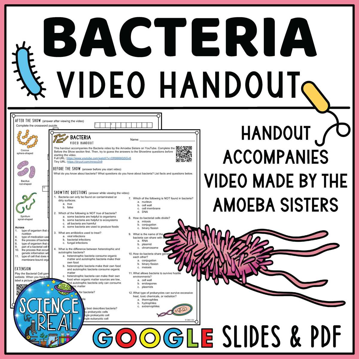 amoeba sisters bacteria answer key amoeba sisters bacteria answer key