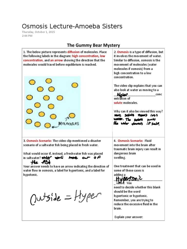 amoeba sisters llc answer key osmosis