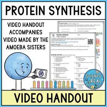 amoeba sisters protein synthesis summary updated answer key