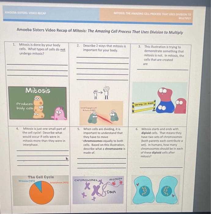 amoeba sisters video recap chromosome numbers answer key