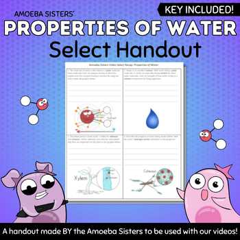 amoeba sisters video select recap speciation answer key